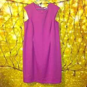NEW CALVIN KLEIN PLUS SIZE DRESS